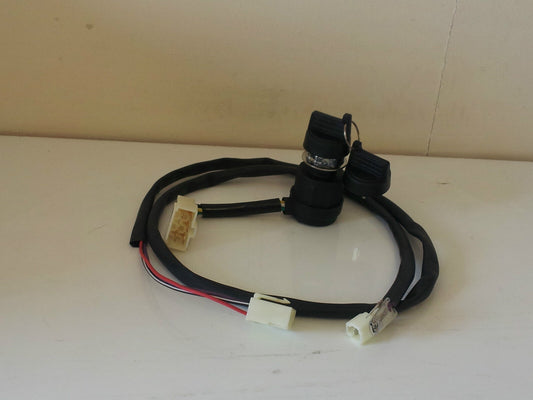 Wiring Harness, Switch Assembly Inc. Spare Key Suits Yanmar L90, L100 Engines
